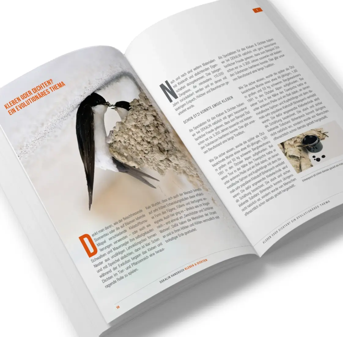 Werbebild: DEKALIN Websupport und Buch-Promotion (Variante 1)